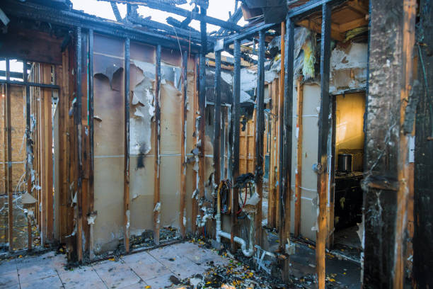 Professional Fire Damage Repair technician working in Excelsior, MN